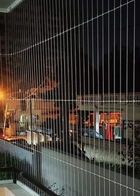 gallery (287 x 431 px)